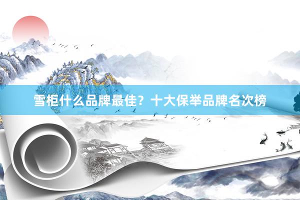 雪柜什么品牌最佳？十大保举品牌名次榜